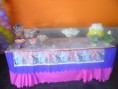 /album/galeria-de-fotos-eventos/tio2-165-jpg/